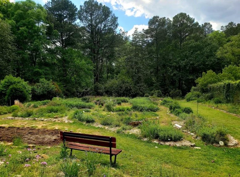 Thompson Mills Forest - Georgia State Arboretum, United States